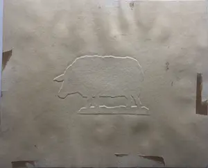 Arja van den Berg - Schaap kopen? Bied vanaf 35!