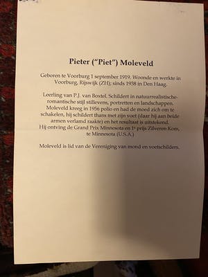 Piet Moleveld - Onbekend kopen? Bied vanaf 100!