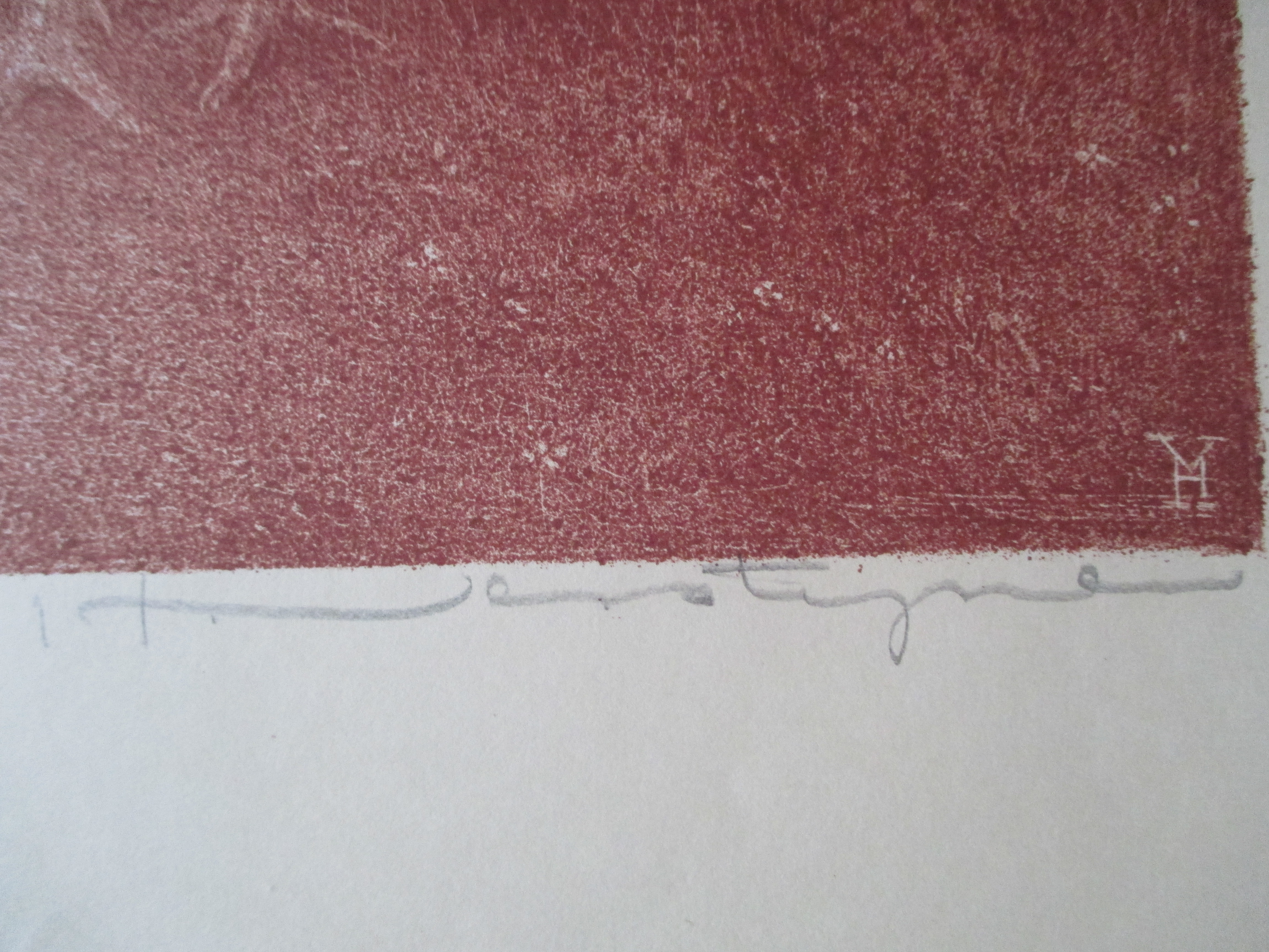 Henri Verstijnen - Litho Kalkoen kopen? Bied vanaf 35!