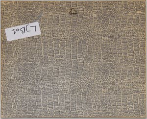 Laurens Jannis Braams - niet bekend kopen? Bied vanaf 45!