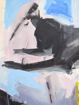 Anita de Baaij - Kat kopen? Bied vanaf 1!