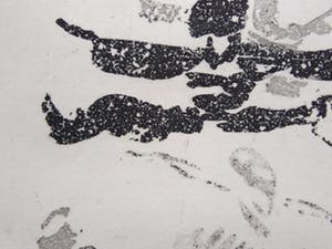 Luis Filcer - Ets Gesigneerd. kopen? Bied vanaf 10!