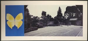 Jean Ruiter - Foto, Hoshun-in (Butterfly) - Ingelijst (Zeer Groot) kopen? Bied vanaf 1!