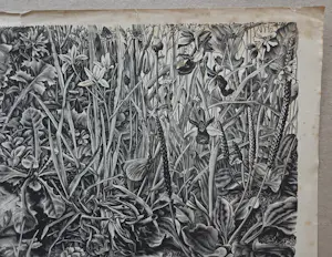 Dirk van Gelder - In memoriam. Natuur. Salamander. kopen? Bied vanaf 49!