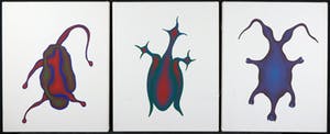 Rado Konecnik - Acryl op doek, Drie Amoebes kopen? Bied vanaf 1!