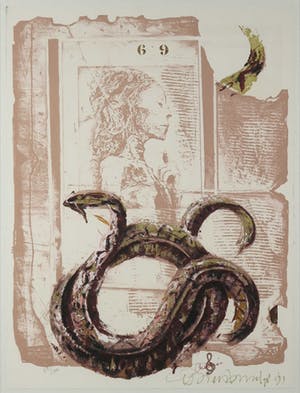 Gerti Bierenbroodspot - Litho, Z.T. Slang - Ingelijst kopen? Bied vanaf 10!