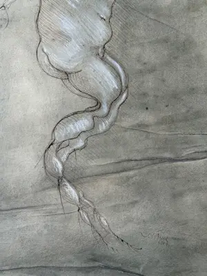 Robert Detheux - Pflanzenumarmung – 2007 kopen? Bied vanaf 100!