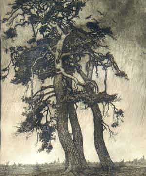 Frans Hogerwaard - Bomen verkocht voor € 100!