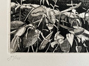 Jan Prins - Twee etsen uit 1992 kopen? Bied vanaf 40!