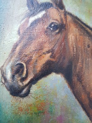 Fred Hartsuijker - paardenhoofd. kopen? Bied vanaf 40!