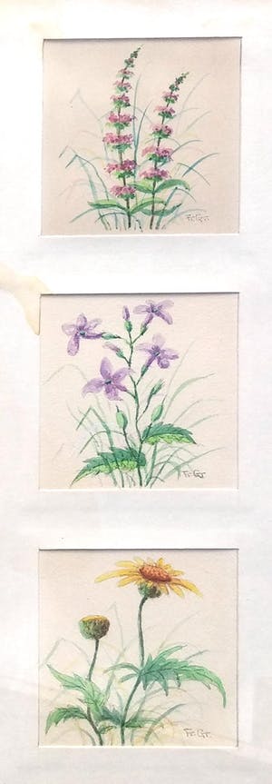 Niet of onleesbaar gesigneerd - Aquarel - lot van 3 x 3 bloemtekeningen kopen? Bied vanaf 1!