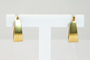 30 - 18 karaats paar geelgouden scharnierende oorclips kopen? Bied vanaf 280!