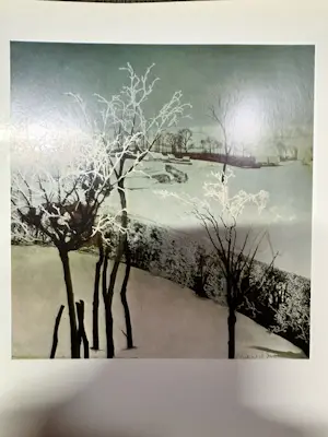 Valerius De Saedeleer - Winterlandschap kopen? Bied vanaf 50!