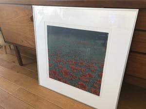 Hans Dolieslager - Klaprozen - kopen? Bied vanaf 120!