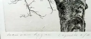 Wim van der Meij - Capelle aan de IJssel kopen? Bied vanaf 69!