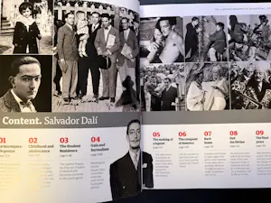 Buy Salvador Dali - The Illustrated biography of? Bid from 20!
