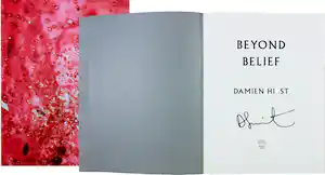 Damien Hirst - Gesigneerd boek - Beyond Belief vendu pour 180€ !