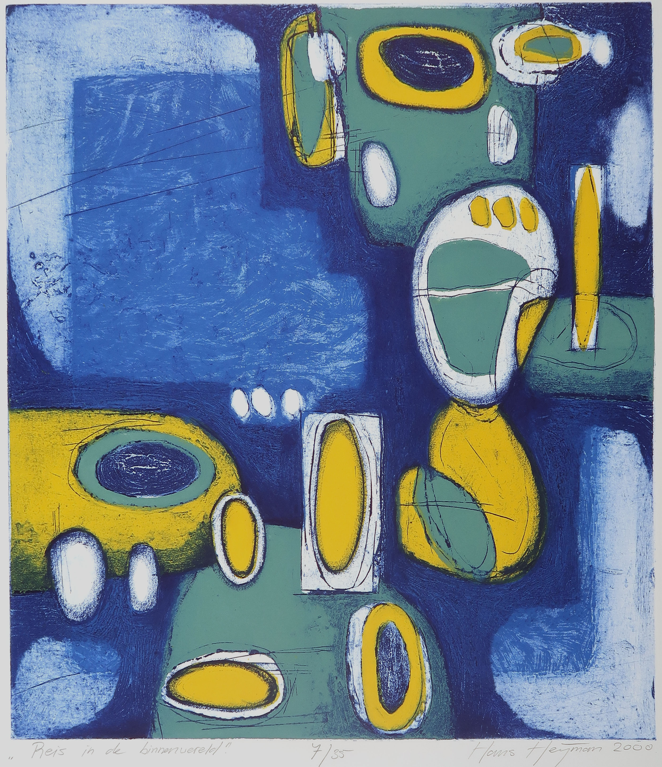 Hans Heijman - Kleurenets, Reis in de binnenwereld kopen? Bied vanaf 1!