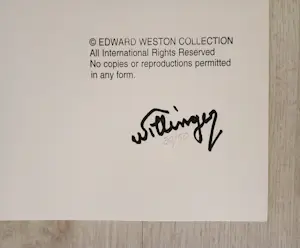 László Willinger - Marilyn Monroe - Pin-up, 1948 kopen? Bied vanaf 990!