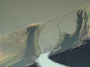 Fon Klement - 3 beschilderde hardboard platen, gebruikt als drukplaten voor de drukpers kopen? Bied vanaf 1!