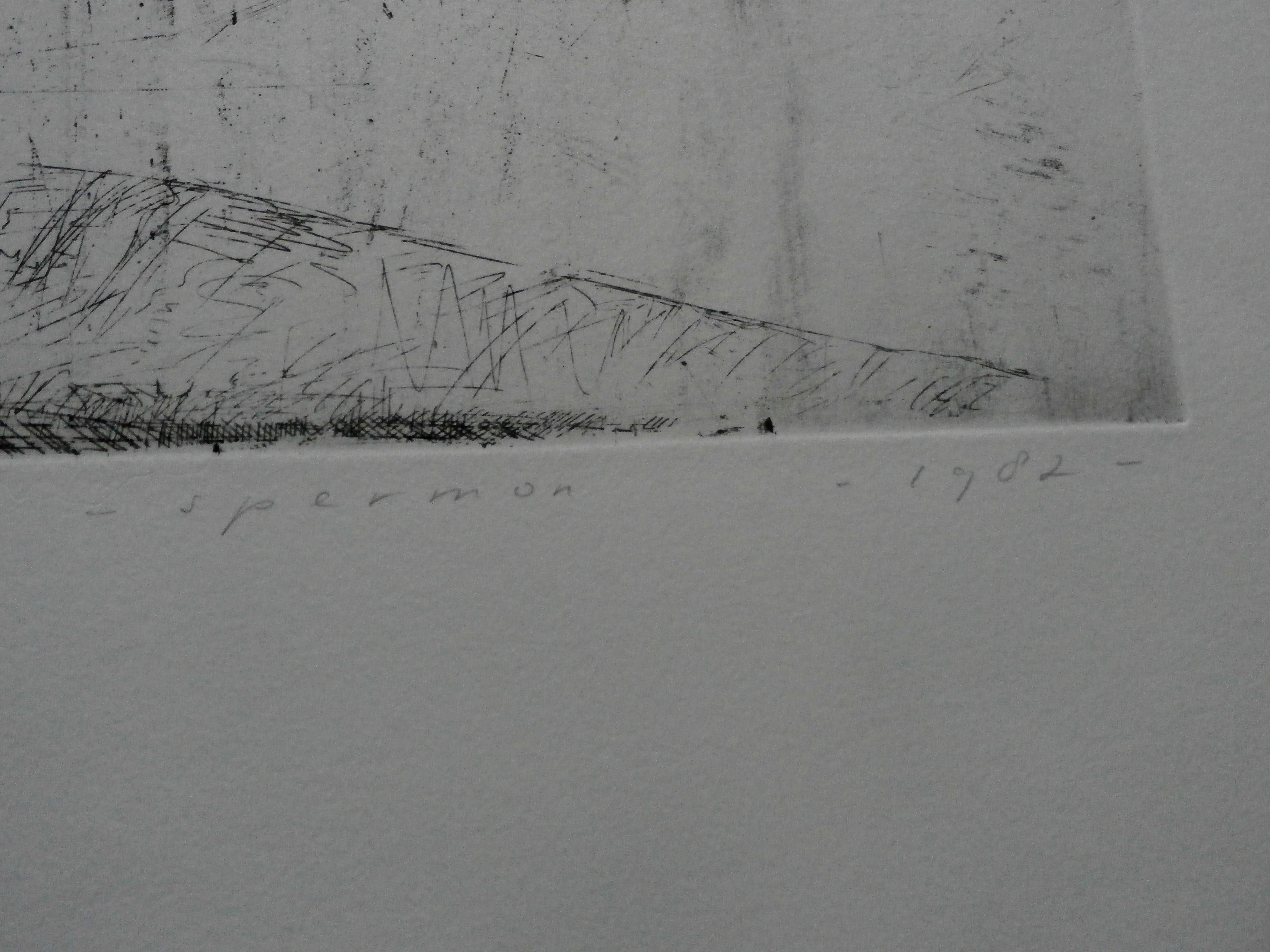 Kees Spermon - ets: zonder titel - 1982 kopen? Bied vanaf 45!