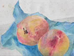 Jos van den Berg - Twee perziken op tafel - Aquarel kopen? Bied vanaf 30!