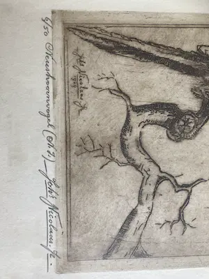 Johannes Nicolaas jr. - Neushoornvogel kopen? Bied vanaf 350!