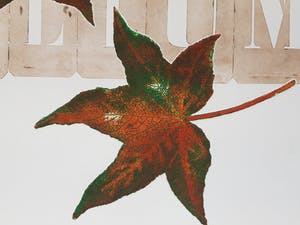 Els Maasson - Folium kopen? Bied vanaf 20!