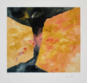 Armando - Kleurengiclee DER ZAUN Handgesigneerd. kopen? Bied vanaf 1!