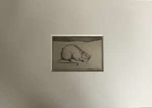 Jan Mankes - Originele Heliogravure Muis 1923 kopen? Bied vanaf 110!