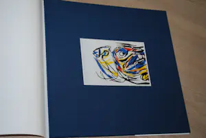 Karel Appel - genum. 342/350 boek glasraam en 3 extra boeken - gratis verzonden NL kopen? Bied vanaf 50!