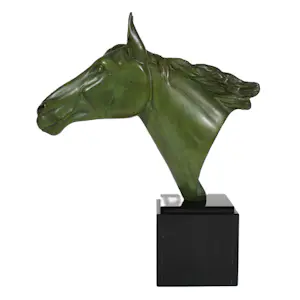 Irénée Rochard - Paard kopen? Bied vanaf 850!