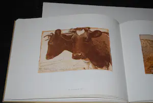 Han van Hagen - Ets 2 koeien - 2000 - oplage 200 - incl boekwerk hardcover kopen? Bied vanaf 100!