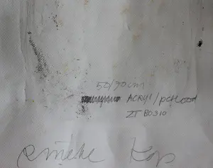 Rineke Kop - Zonder titel 80310 kopen? Bied vanaf 40!