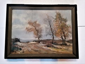 Herman van der Weele - Zandverstuiving op de Veluwe kopen? Bied vanaf 40!