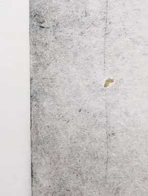 Nika Meerman - Ets en aquatint, Twee werelden van verschil (Groot) kopen? Bied vanaf 1!