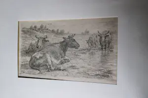 Frans Lebret - 2 fraai gedetailleerde Etsen "Koeien + Stier in stal" - 1908 - in passe partout kopen? Bied vanaf 34!
