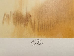 Pierre Letellier - Ballerinas kopen? Bied vanaf 15!