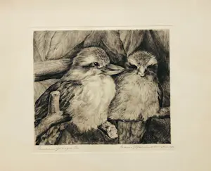 Frans IJserinkhuijsen - Reuzenijsvogels kopen? Bied vanaf 30!