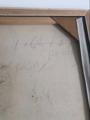 Frits van Eeden - Paard kopen? Bied vanaf 800!