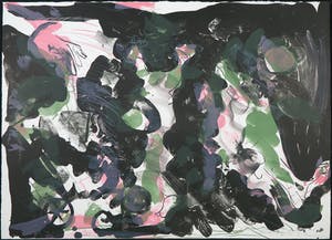 Ger Lataster - Litho, Donkere tuin kopen? Bied vanaf 1!