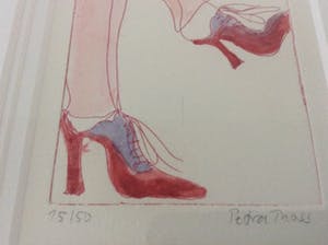 Petra Thoss - Schoenen als levensloop kopen? Bied vanaf 10!