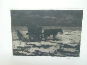 Frederika Broeksmit - SCHELPENVISSER kopen? Bied vanaf 30!