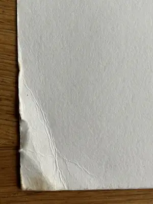 Ton van Kesteren - TWEE ZEEFDRUKKEN kopen? Bied vanaf 59!