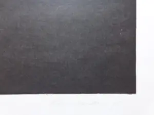 Jeroen Henneman - VENSTER / KLEURLITHO / 50x59cm / SIG / 1975 / PRENT190 kopen? Bied vanaf 1!