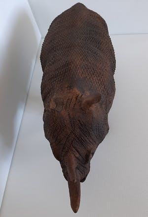 Curiosa - Neushoorn van anaconda leder - antiek kopen? Bied vanaf 1!