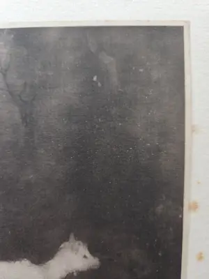 Jan Mankes - Twee geitjes kopen? Bied vanaf 39!