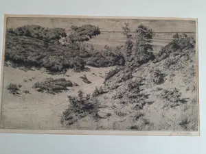 Hendrik Henrichs - Ets, landschap. kopen? Bied vanaf 20!