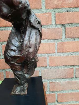 Karel Gomes - Dame, expressief in beweging kopen? Bied vanaf 450!