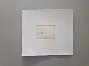 Mira den Hartog - magnifieke droge naald Ets "naakt aan waterkant" - zeer kleine oplage (10) kopen? Bied vanaf 38!